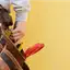 Handyman repair service in Bradenton, FL for home fixes and improvements
